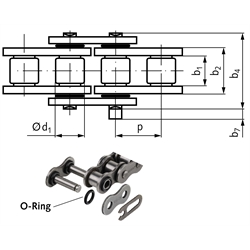 O-Ring-Einfach-Rollenketten, Produktphoto