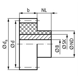 Stirnzahnräder Kunststoff PA 12 G mit Stahlkern, Modul 3, Technische Zeichnung